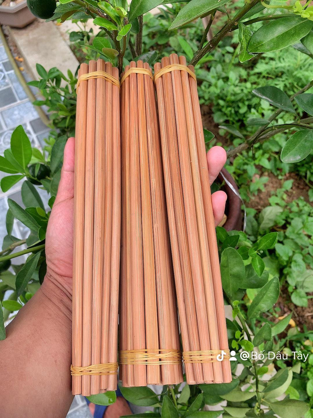 Bộ 10 Đôi Đũa Tre TRE VIỆT Tự Nhiên An Cao Cấp, An Toàn Cho Sức Khỏe- SNF Bamboo and Craft Mới