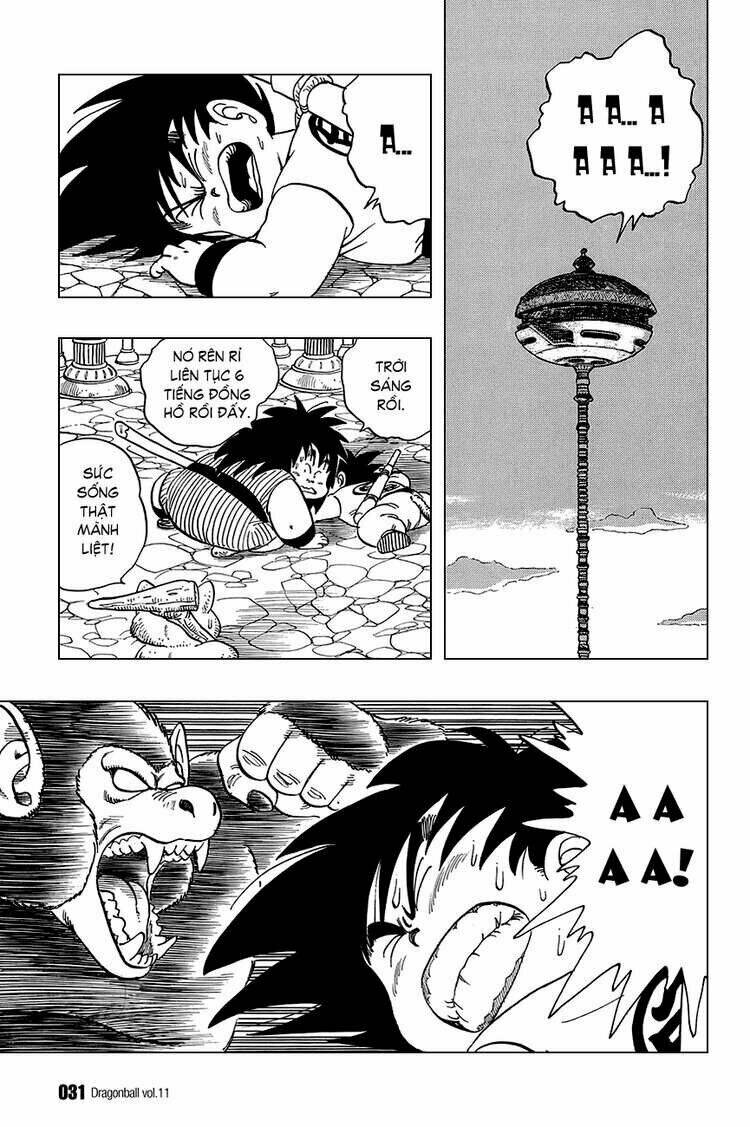 dragon ball - bảy viên ngọc rồng chapter 151 12