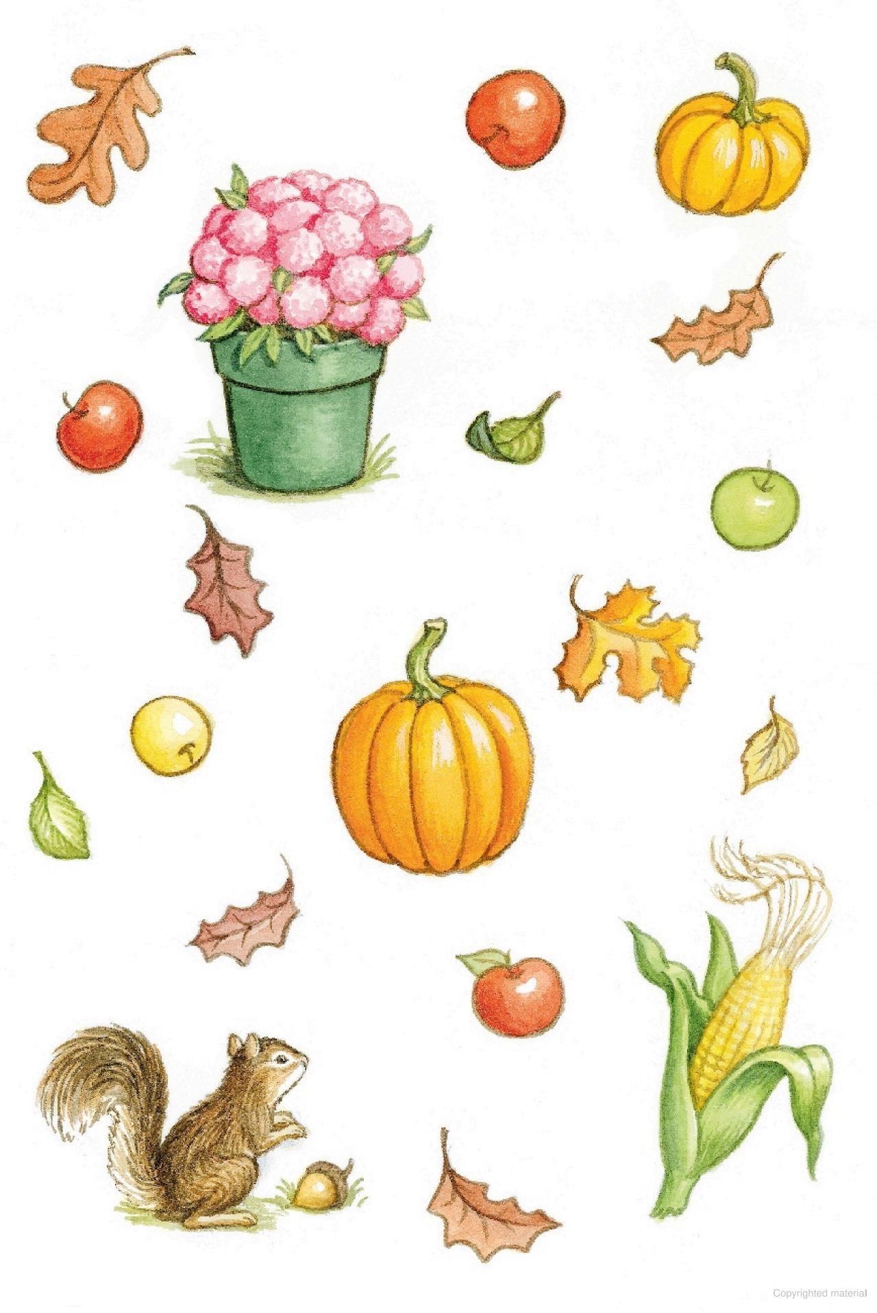 Sách ngoại văn: Biscuit And The Great Fall Day