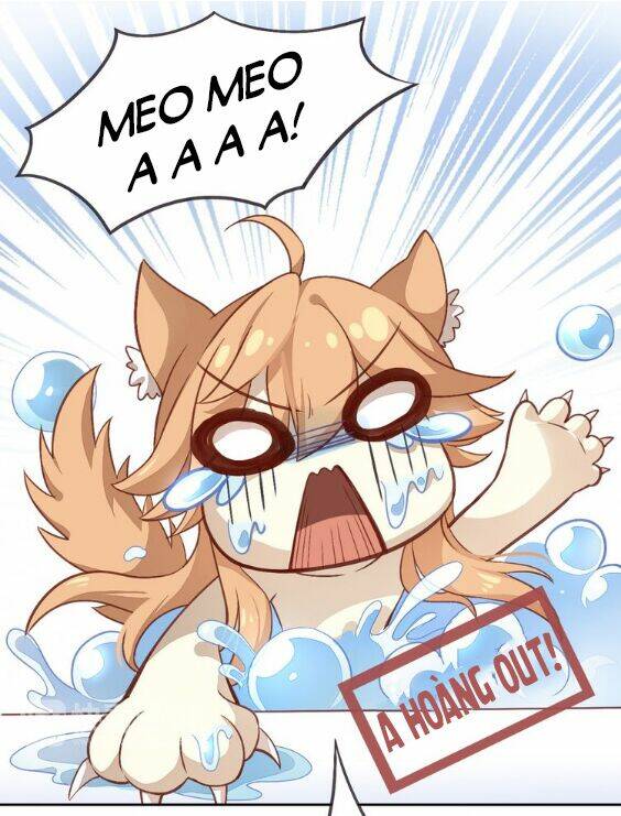 miêu trảo chi hạ chapter 1 27