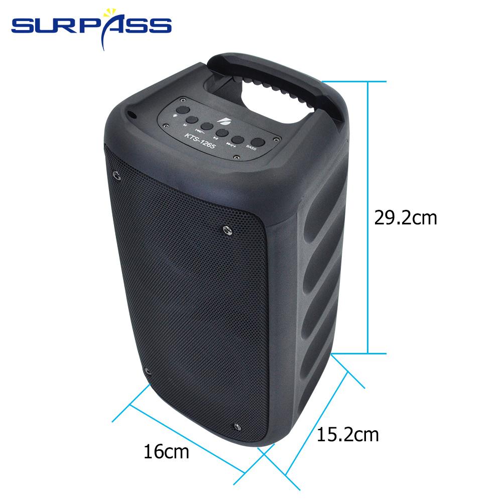 Loa di động Không dây Tương thích Bluetooth Loa ngoài trời Công suất 20W Âm thanh nổi vòm Spk Hỗ trợ Đài FM Thẻ Micro SD Màu sắc: Loa di động