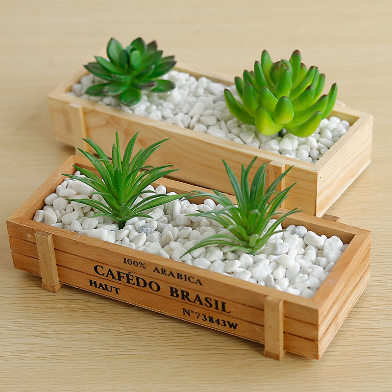 Chậu, khay Gỗ trồng sen đá, chậu trồng cây cảnh để bàn