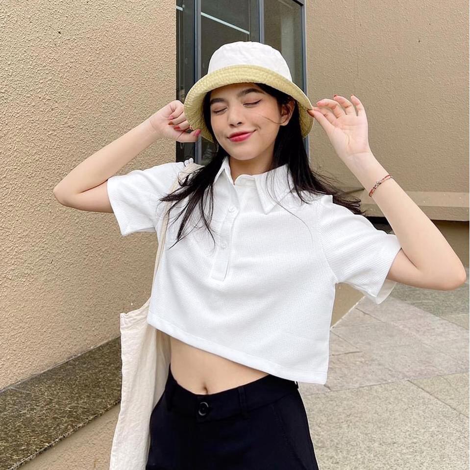 Áo Croptop Polo Nữ Vải Tổ Ong  Áo Thun Nữ Cộc Tay Dáng Ngắn