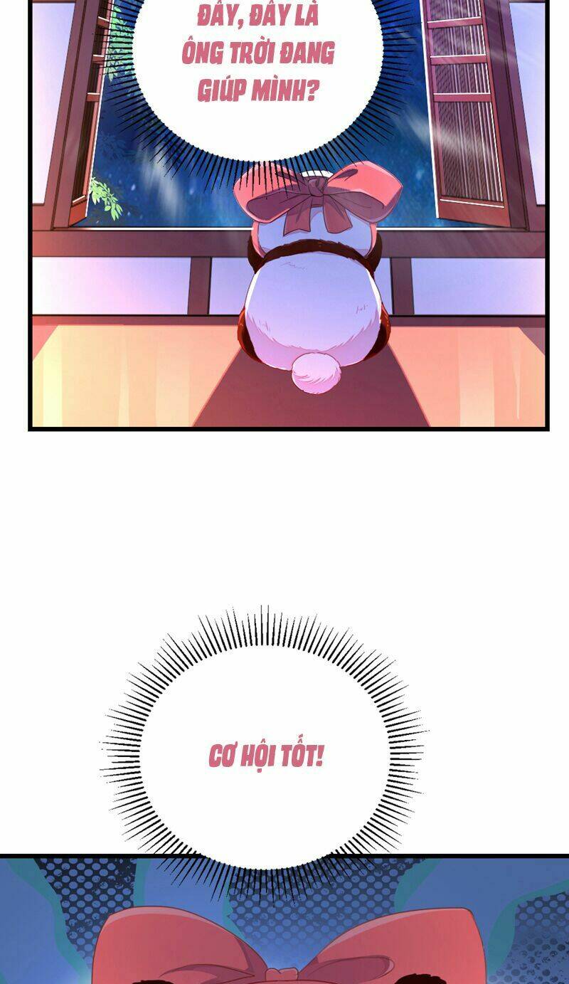 thiên thần gấu trúc muốn được ôm chapter 24 18