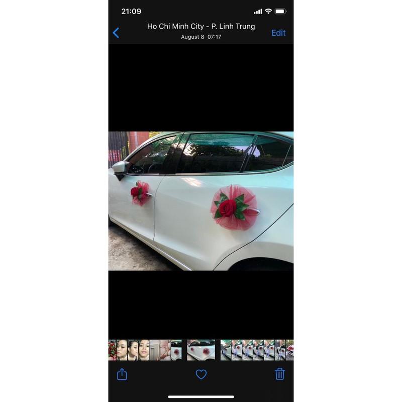 HOA XE CƯỚI
