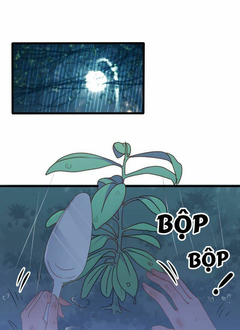 ngạo kiều tổng tài sủng điềm thê chapter 35 22