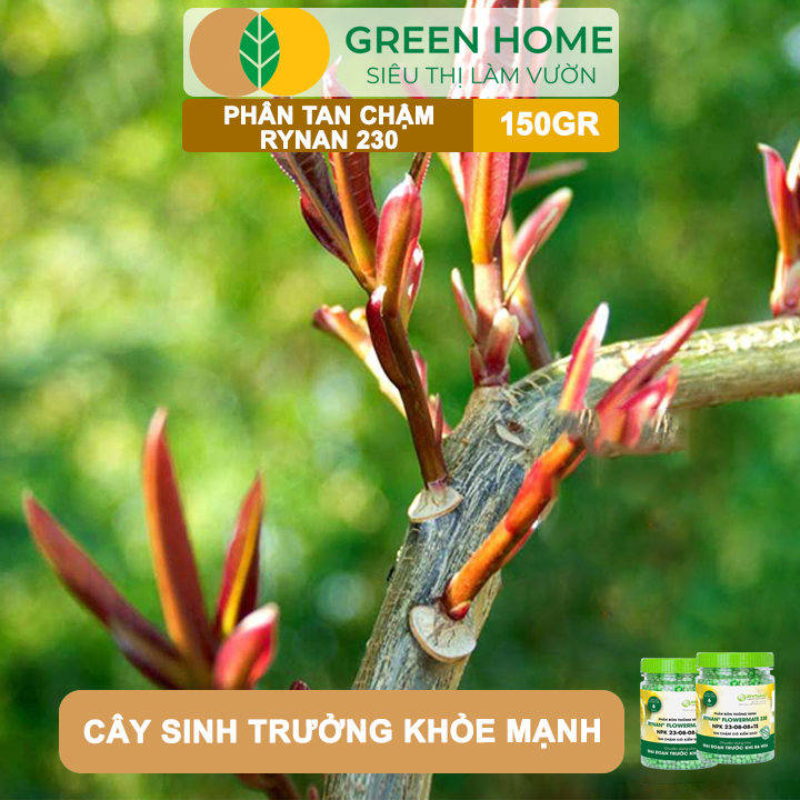 Phân tan chậm Rynan 230, chai 150gr, chuyên kiểng lá, dưỡng lá xanh, sinh trưởng khoẻ |Greenhome