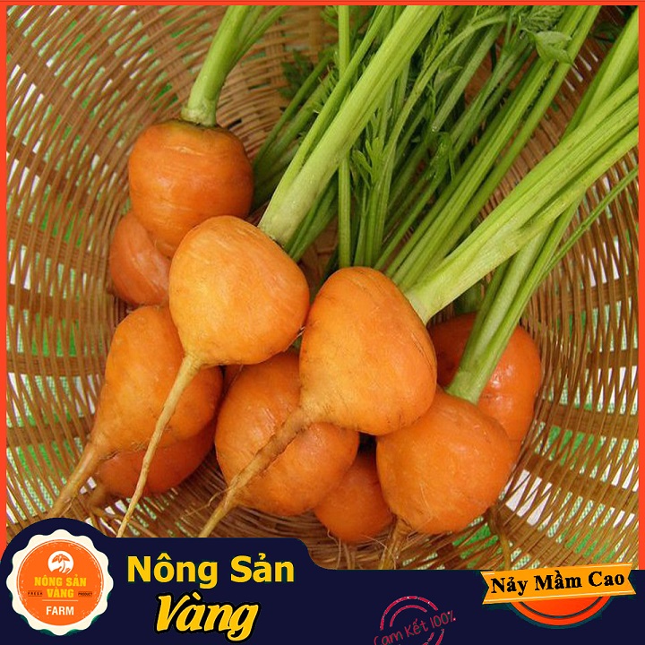 Hạt giống Cà Rốt Củ Tròn - Nông Sản Vàng