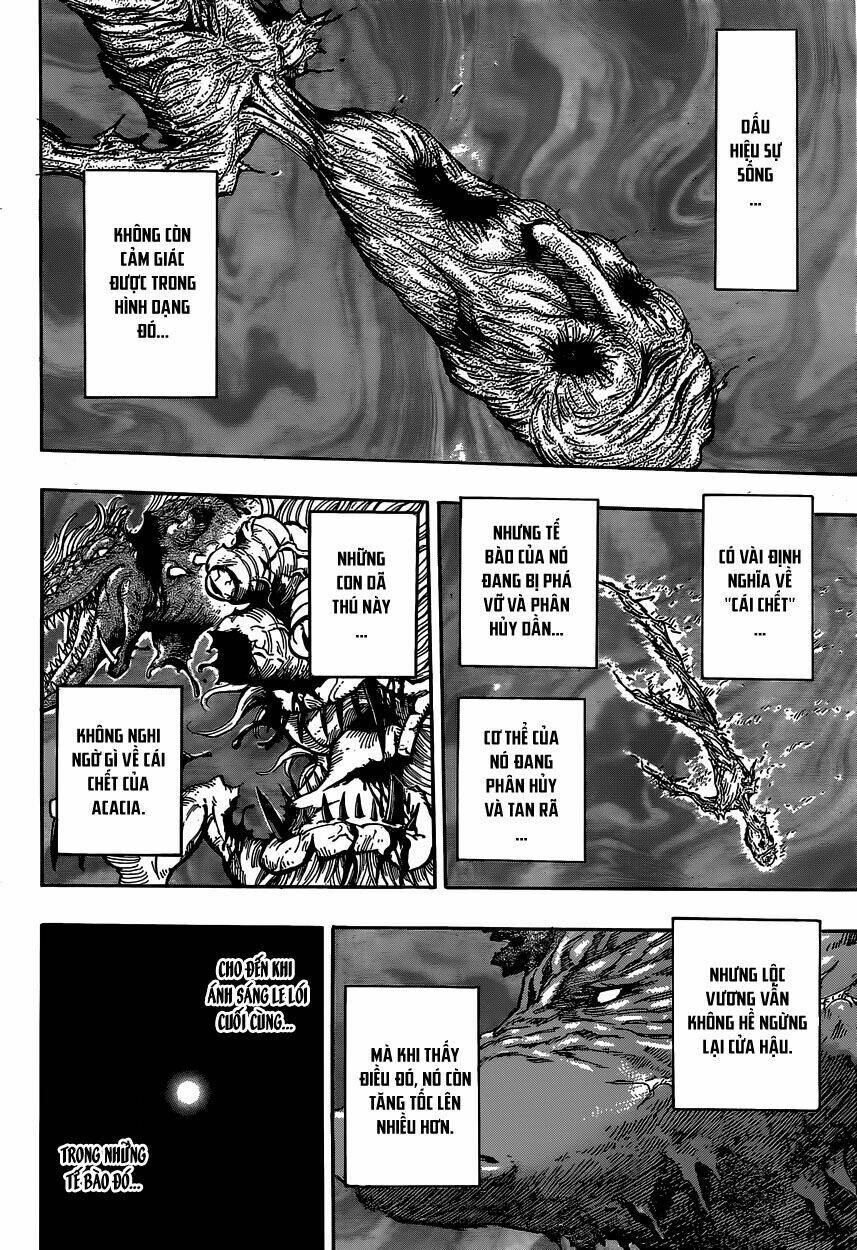 thợ săn ẩm thực chapter 379 15