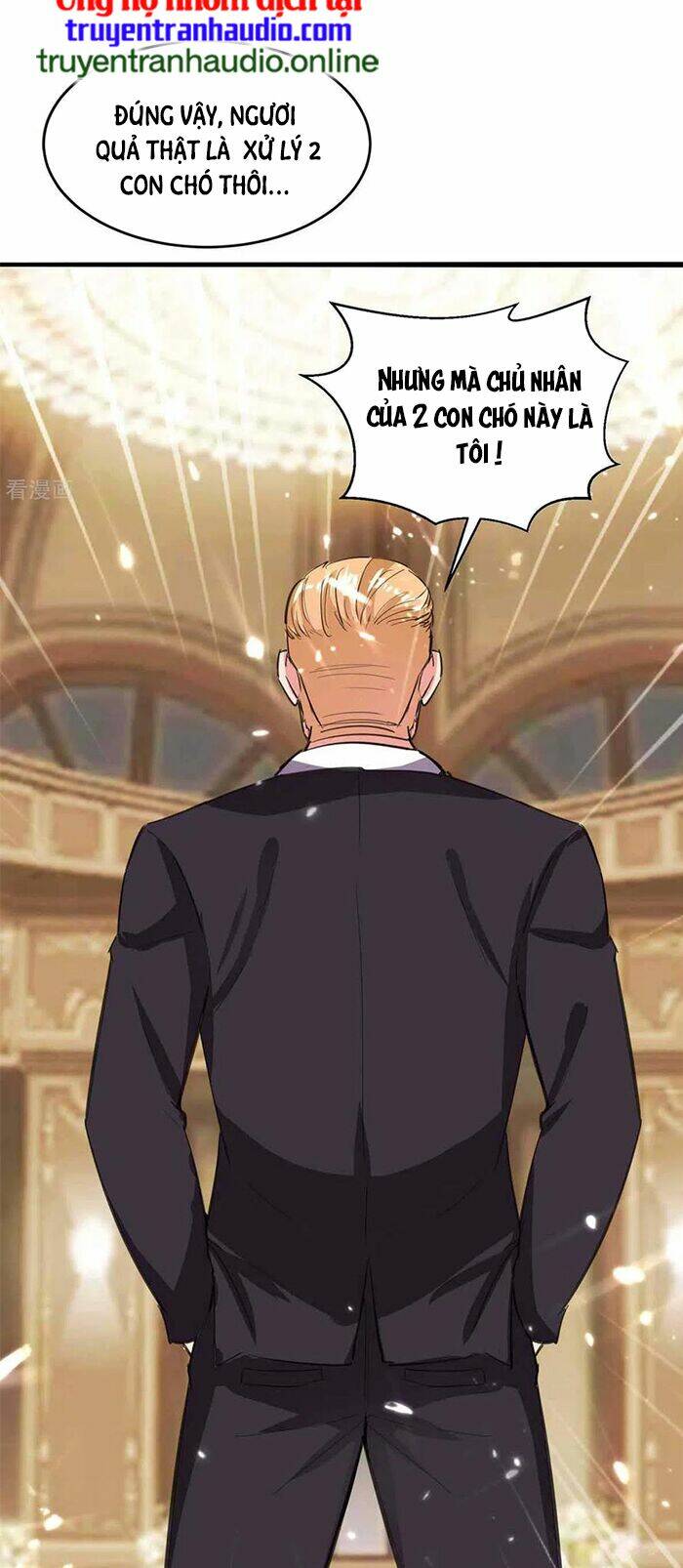 trọng sinh khí thiếu quy lai chapter 188 24