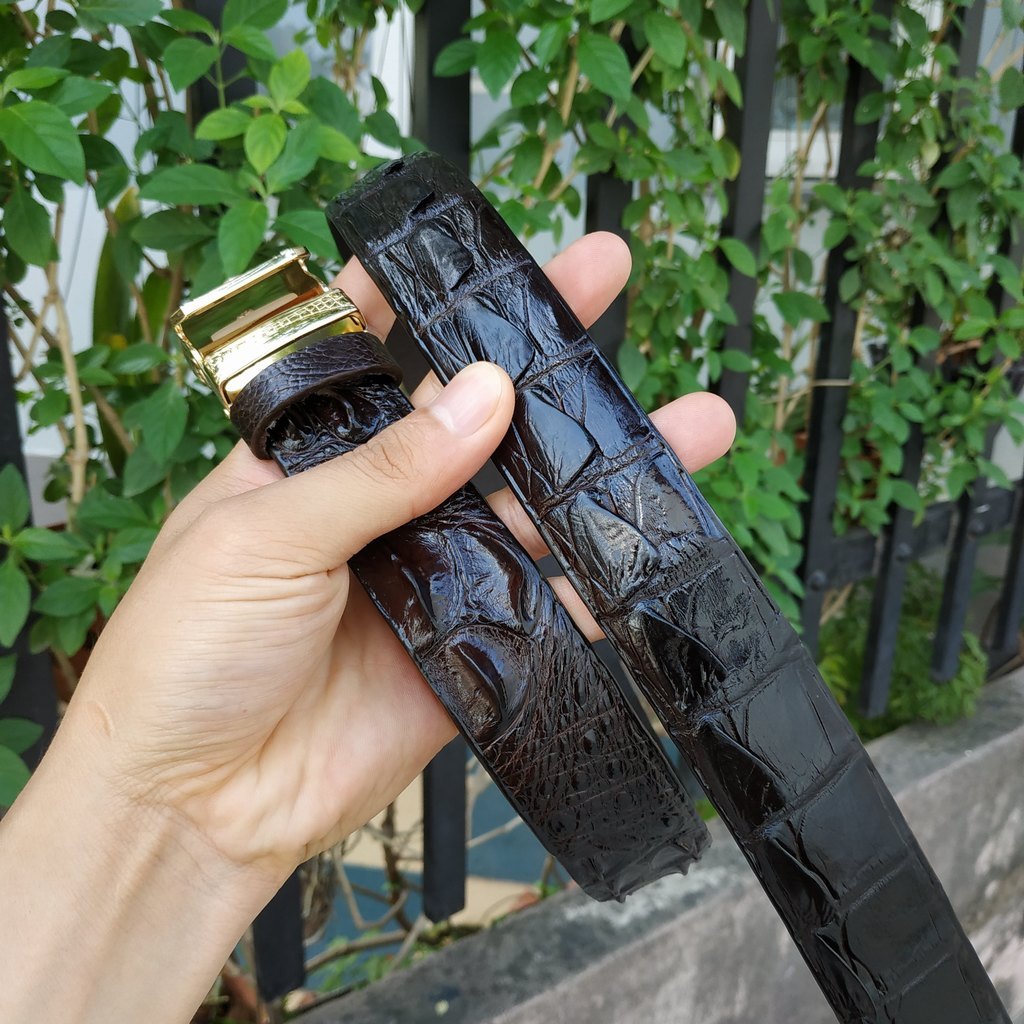 Dây Nịt Da Cá Sấu  Da Lưng Cá Sấu Có Gù, Gai Và Vây Rất Đẹp