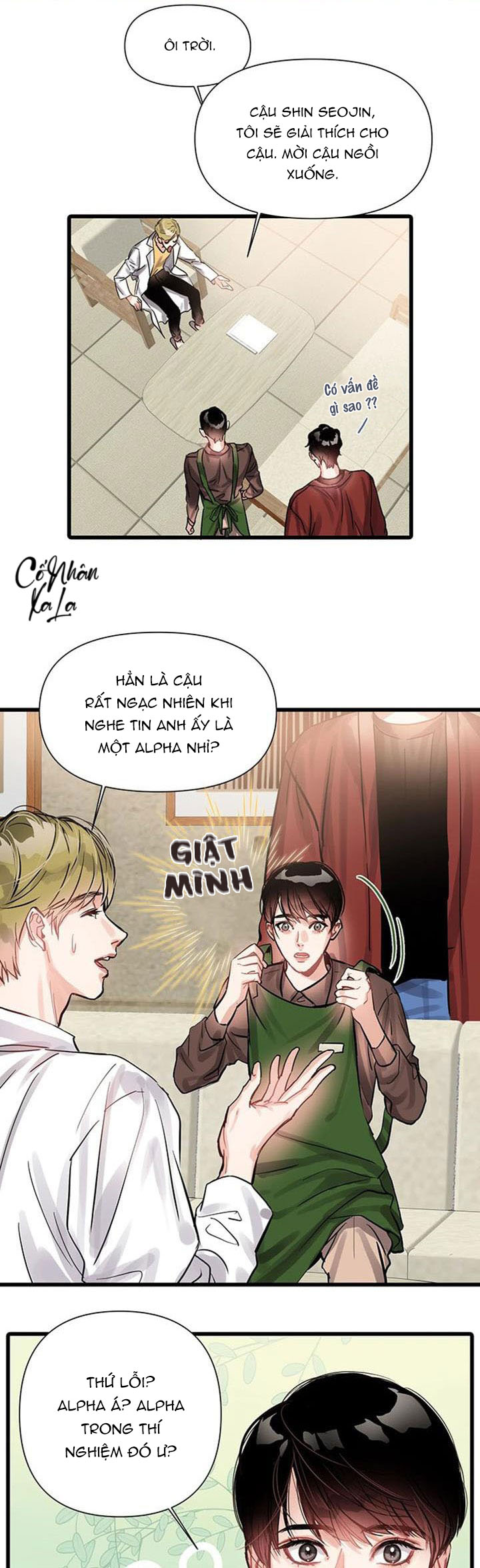 only one chapter 6 11