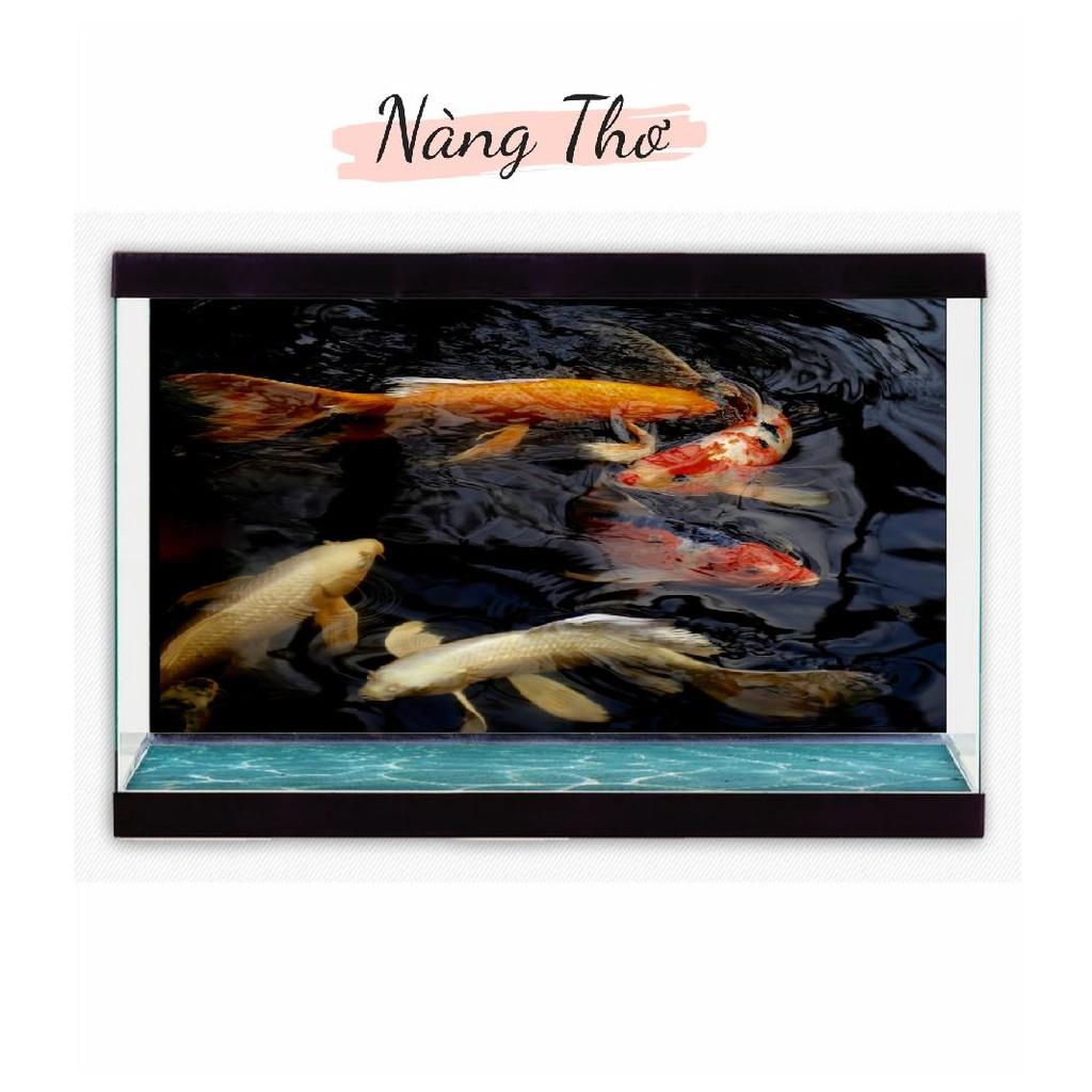 TRANH DECAL HÌNH CÁ KOI 3D DÁN HỒ CÁ NHIỀU KÍCH THƯỚC _THIẾT KẾ NÀNG THƠ