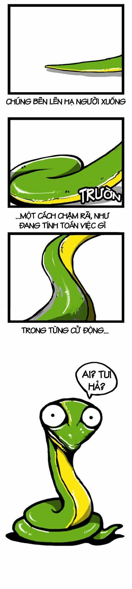 earth, human, and animal chapter 4 2