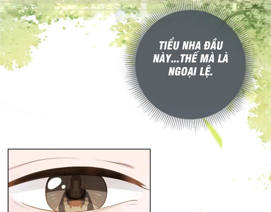 nhặt được bảo bối manh manh chapter 7 69