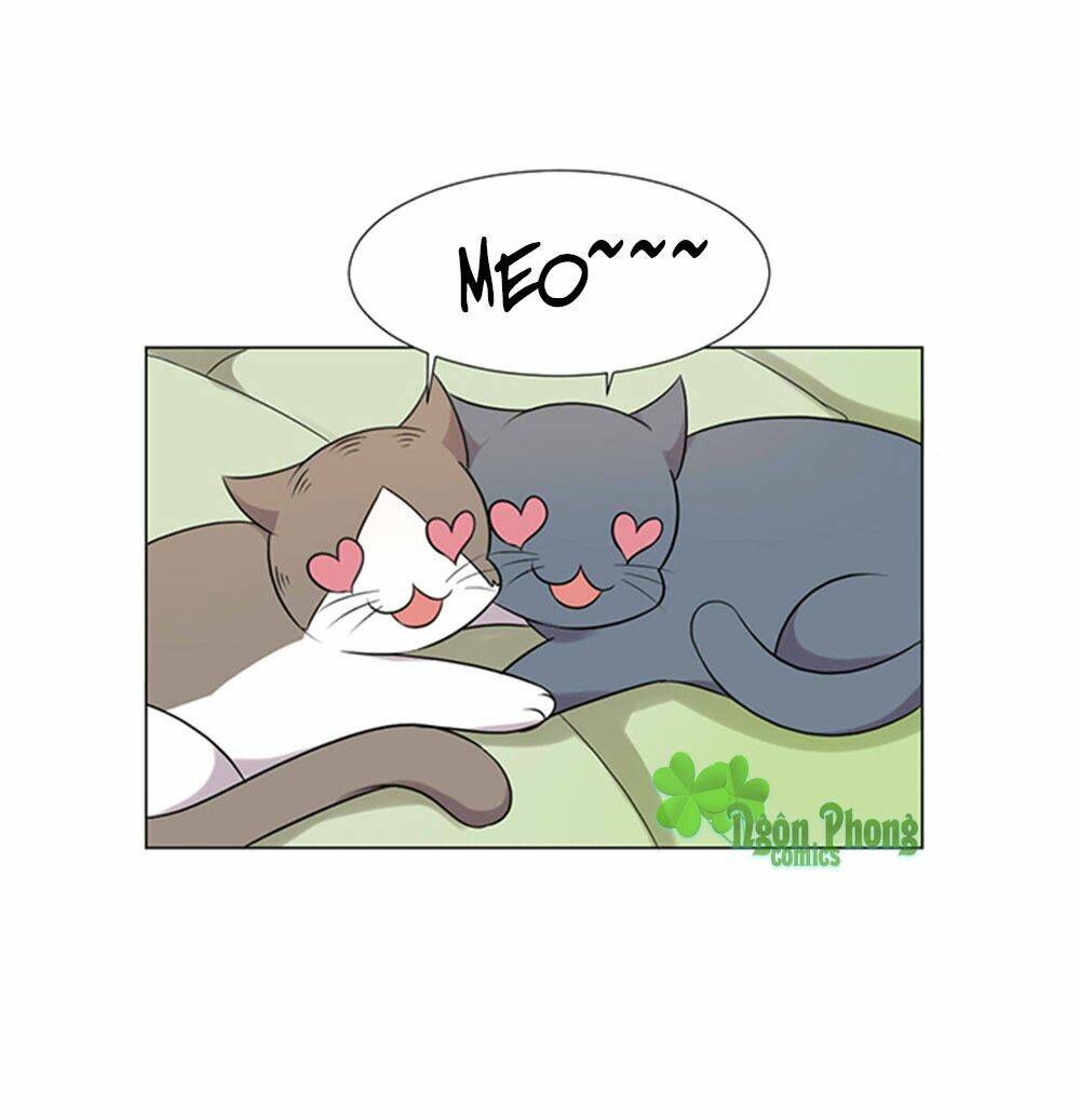 hai chú mèo totem chapter 39 18