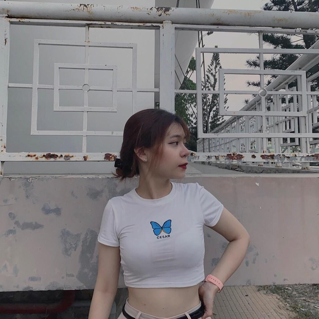 Áo croptop thêu hình bướm nhỏ