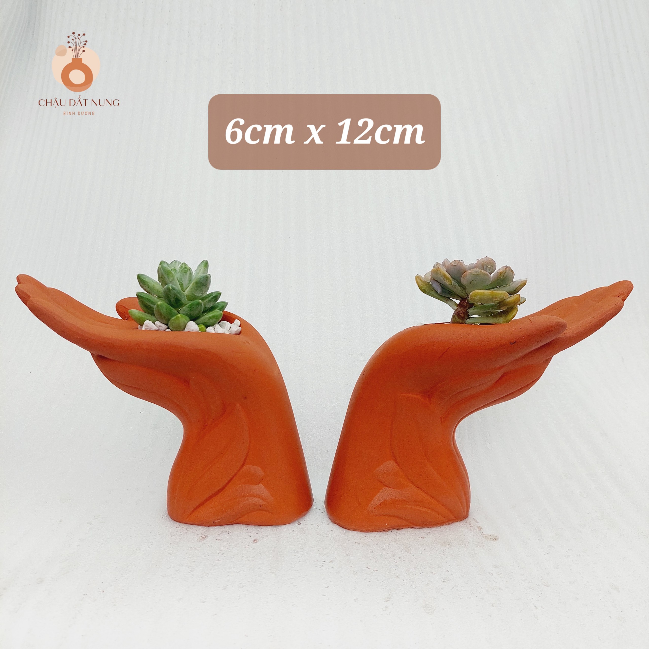 Chậu đất nung Bình Dương - Bàn tay của người tôi yêu, miệng chậu 6cm, chiều cao 15cm