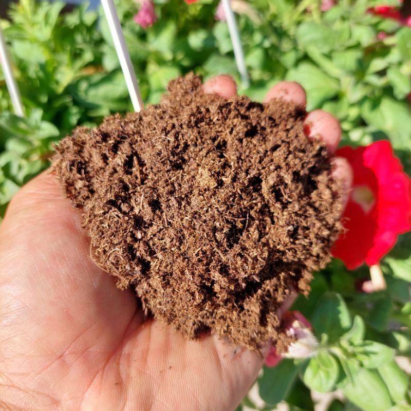 Peat moss 100gram, thành phần giá thể ươm giống, trộn đất
