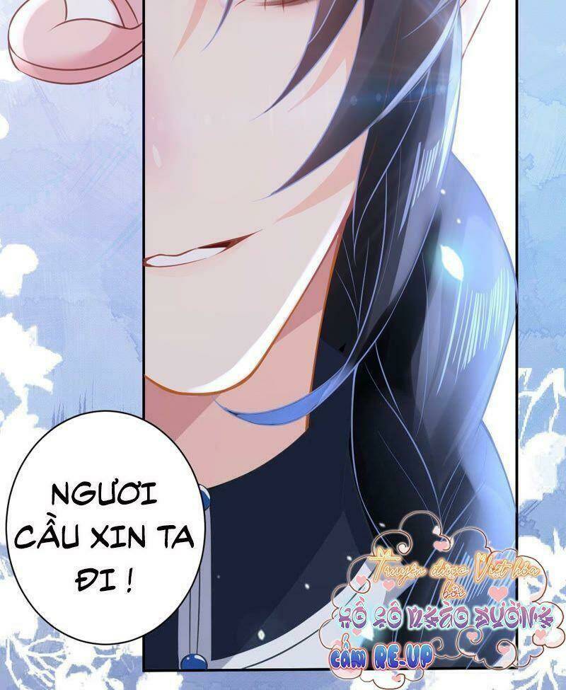 quận chúa vững vàng, thiết lập nhân vật không thể vỡ chapter 16 45