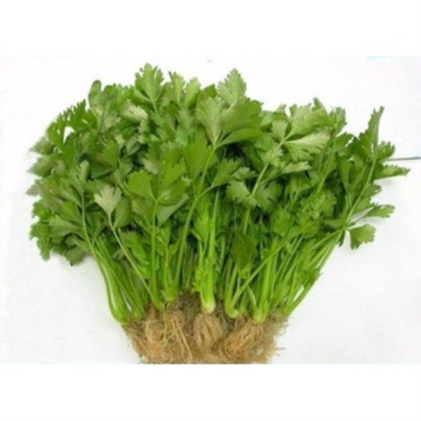 Combo 2 gói hạt giống rau mùi ta 20gr 1 túi