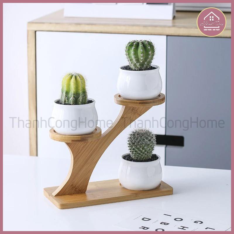 Kệ Gỗ Trang Trí Decor Xinh, Kệ Để Bàn Đặt Chậu Sứ MINI Xương Rồng, Sen Đá, Để Chai Lọ