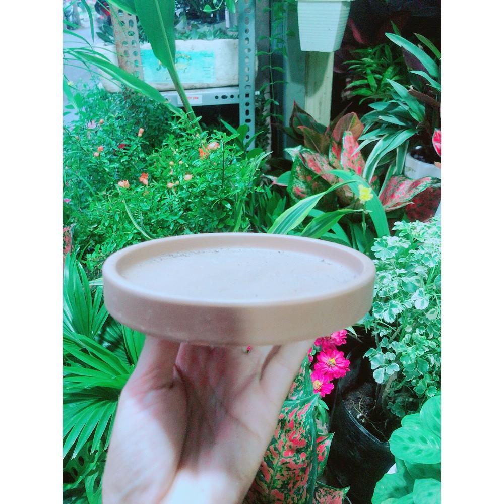 Đĩa Lót Chậu đường kính 14cm