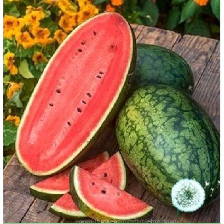 Hạt giống dưa hấu quả dài ruột đỏ-gói 10 hạt-tặng kèm gói phân bón lót