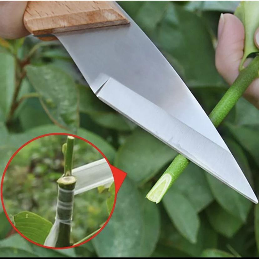 DAO GHÉP CÂY CÁN GỖ GẬP CAO CẤP - NHẬP KHẨU NHẬT BẢN