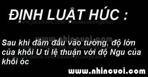 hình ảnh hài hước new chapter 7 23