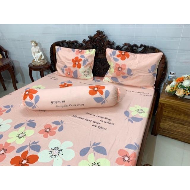 Cotton hàn quốc
