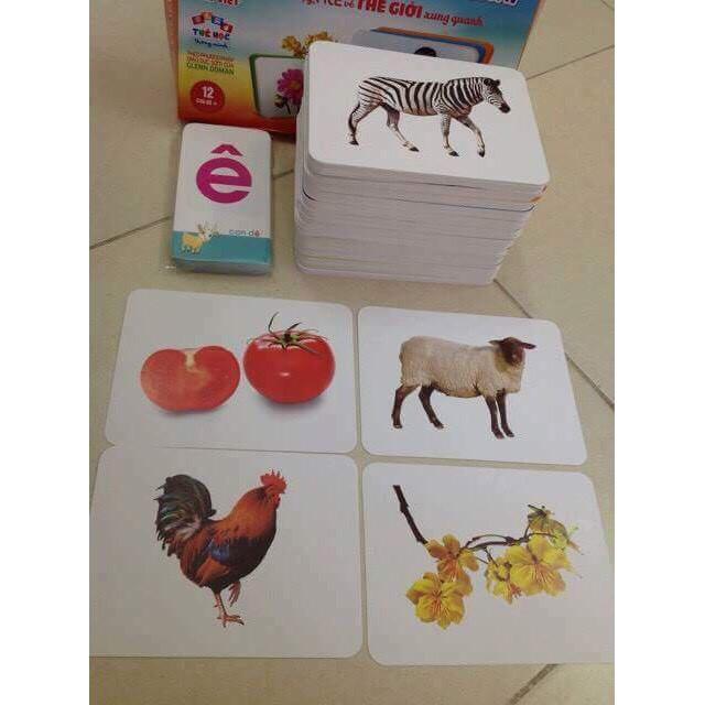 Thẻ Học Flashcards,Thẻ Học Song Ngữ Chủ Đề Nghề Nghiệp