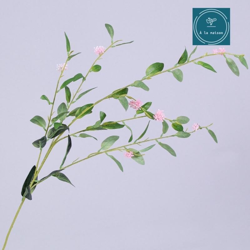 Cành lá Ô rô có hoa cao 102cm đẹp mong manh xanh mát