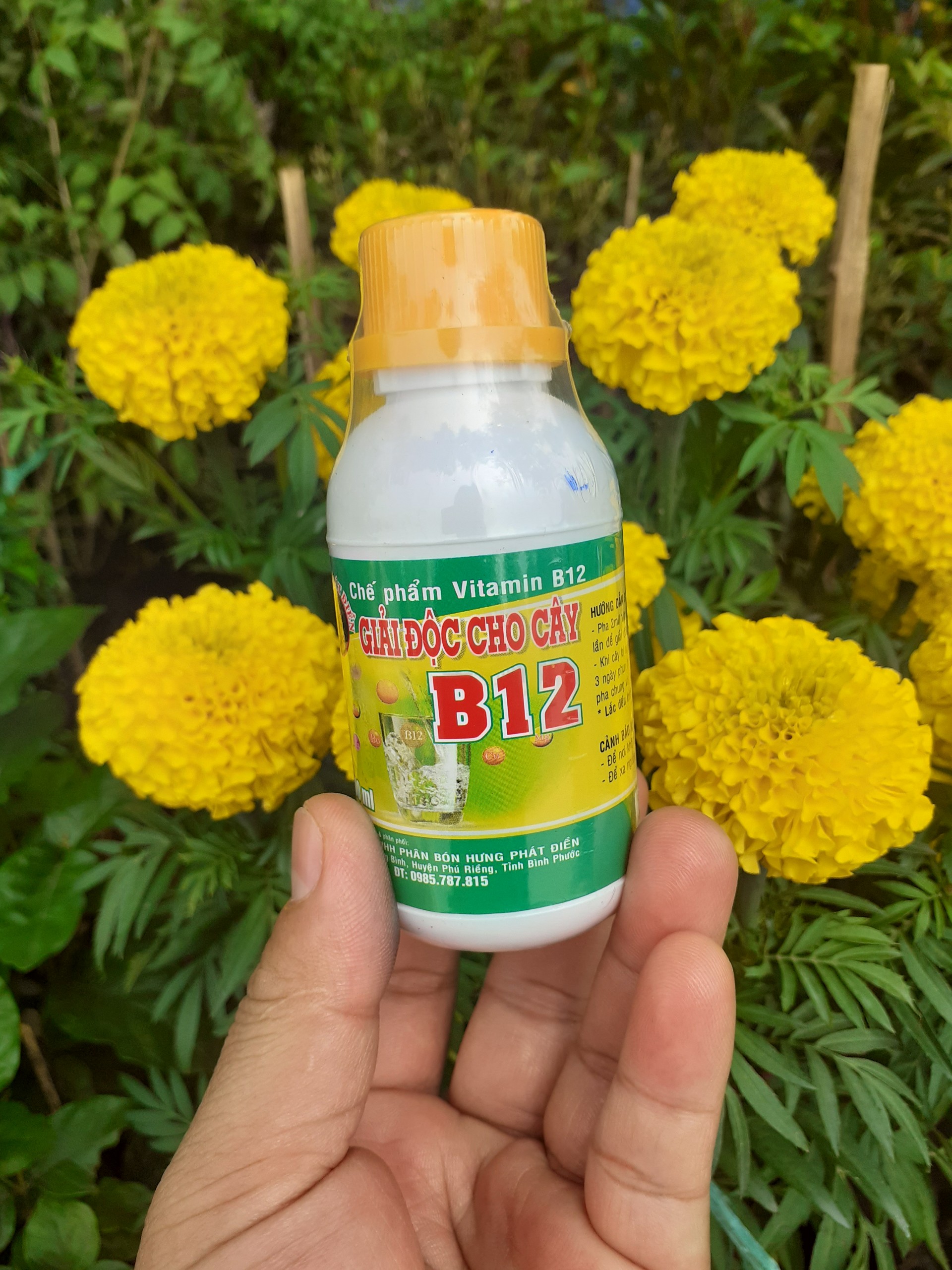 Vitamin B12 giải độc cho cây trồng
