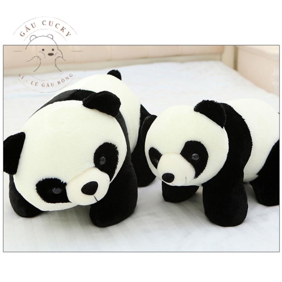 GẤU BÔNG GẤU TRÚC PANDA SIÊU DỄ THƯƠNG 60CM