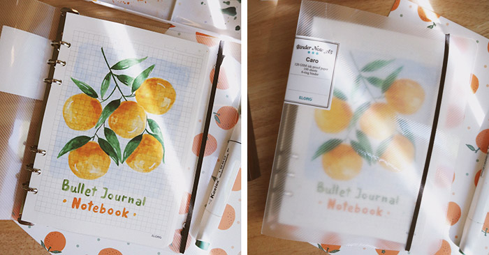 Quà tặng LuvGift set trang trí sổ Bullet Journal Natural Luv99