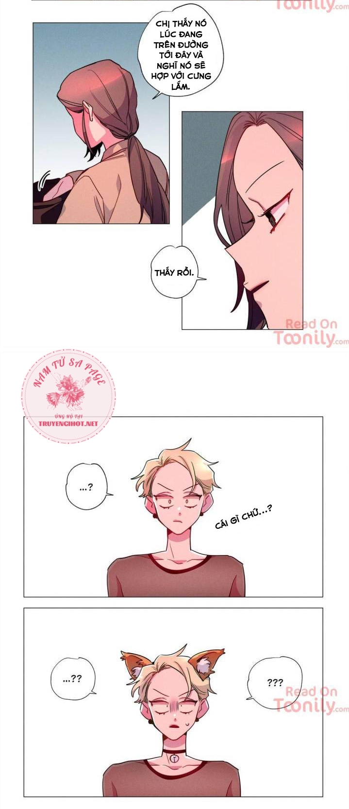 mảnh ghép o bị khuyết chapter 59 15