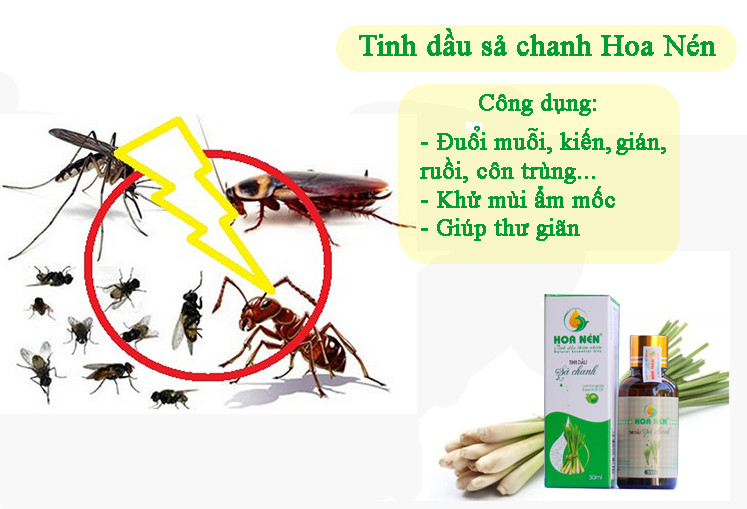 Tinh dầu sả chanh 30ml - Hoa nén