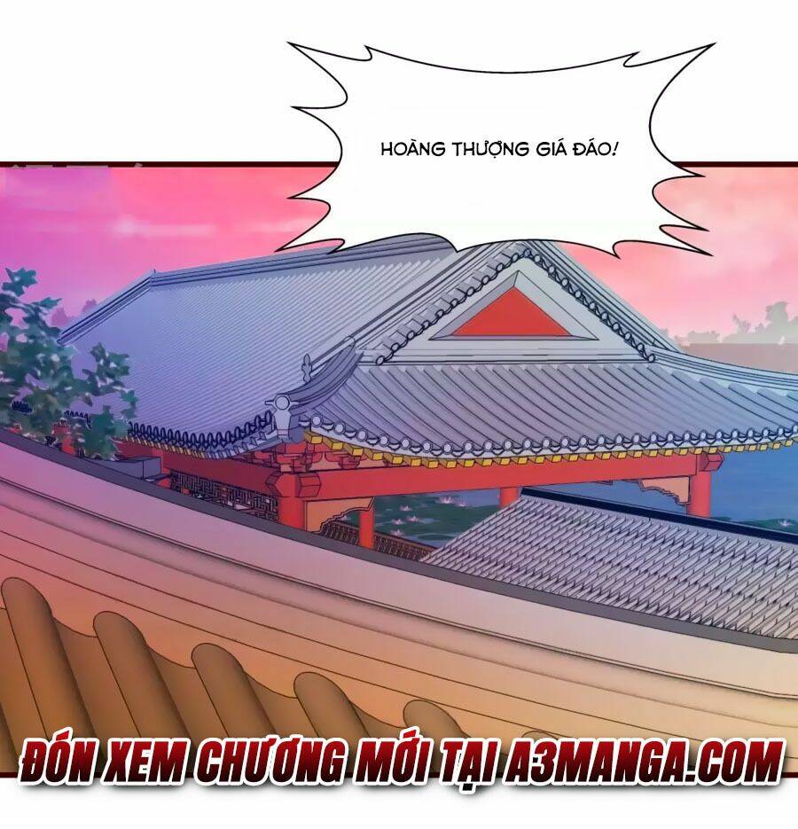 thỏ yêu tiểu vương phi chapter 25 27