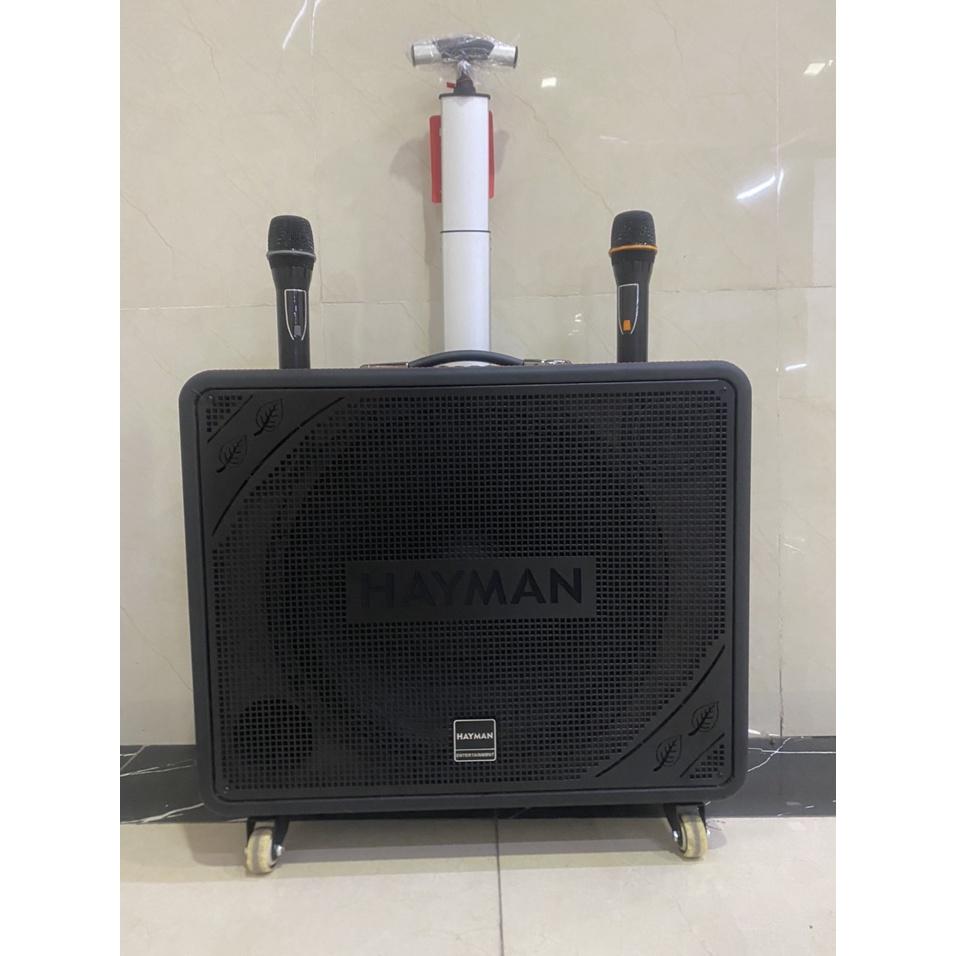 Loa kéo di động Karaoke Hayman X8-15 ( 2 Micro)