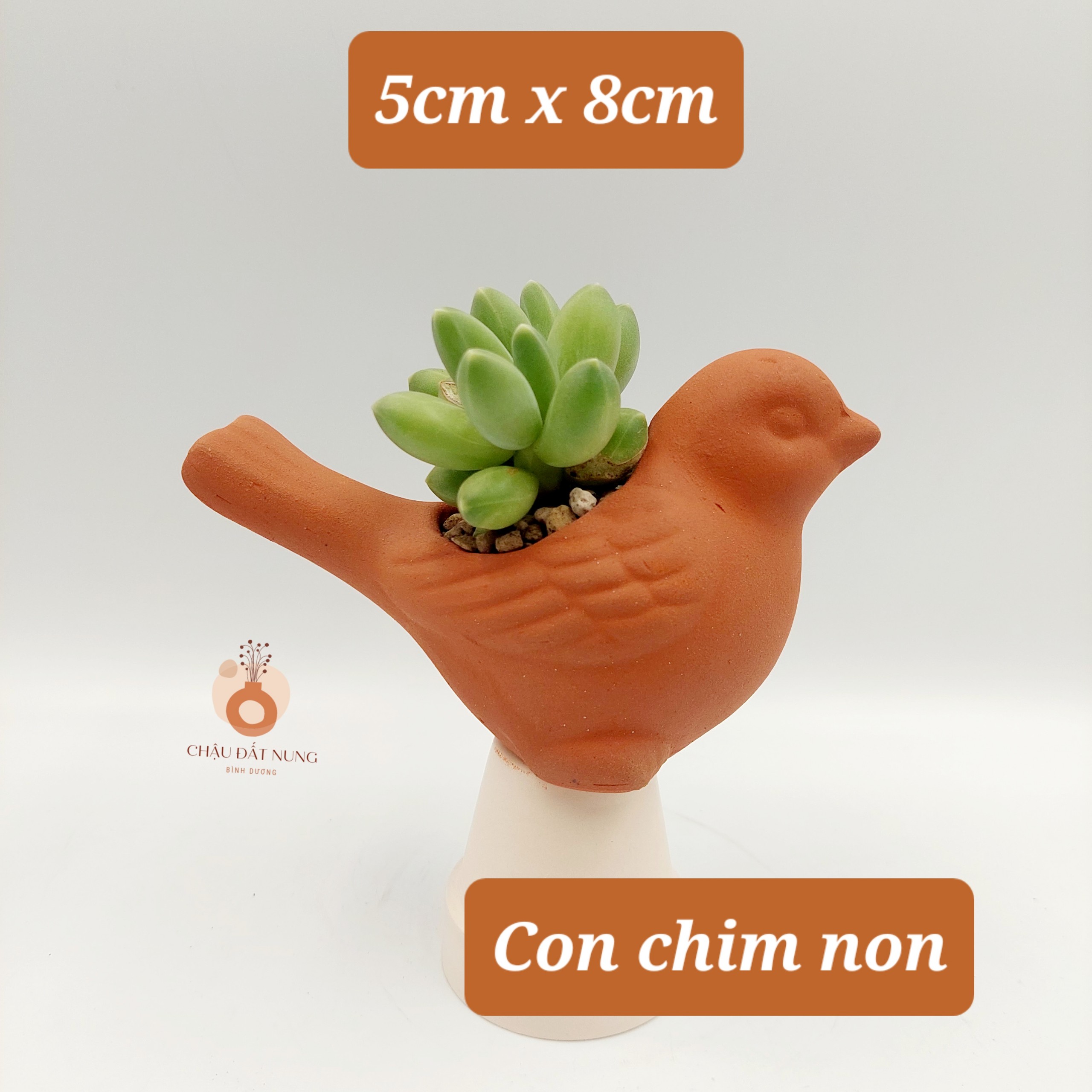 Chậu đất nung, chậu sen đá - Con chim non 58, miệng chậu 5cm, chiều cao 8cm