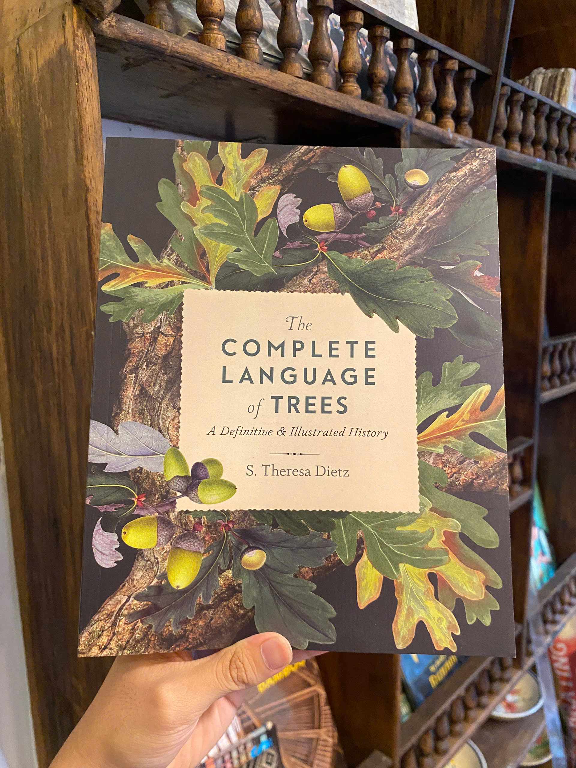 Sách - The Complete Language of Trees: A Definitive and Illustrated History by S. Theresa Dietz