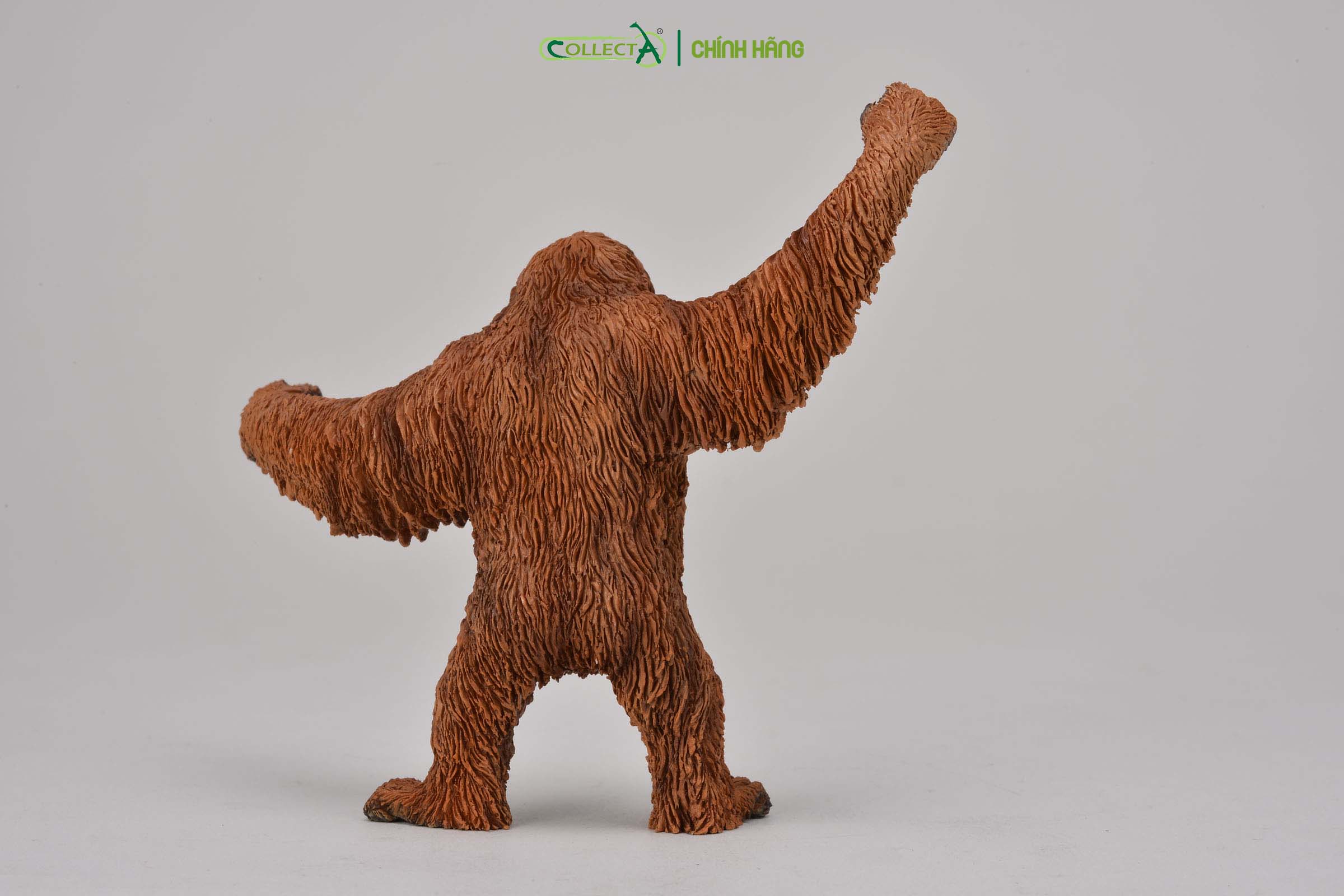 Đồ chơi mô hình động vật CollectA Đười Ươi - Orangutan