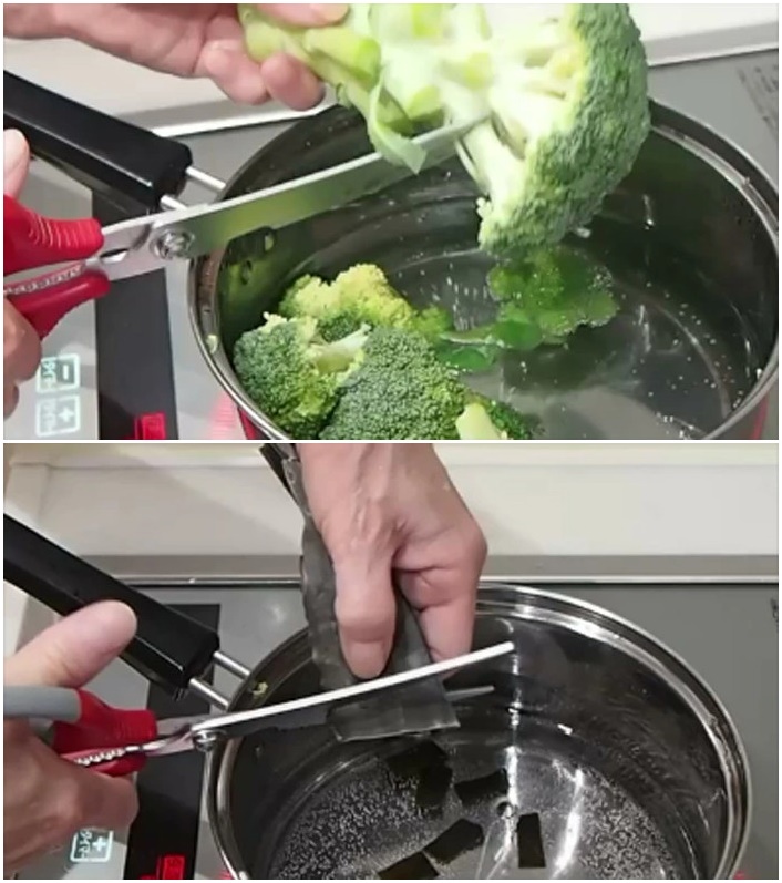 Kéo cắt gà, vịt cao cấp chính hãng Nikken Mate #25cm hàng nội địa Nhật Bản