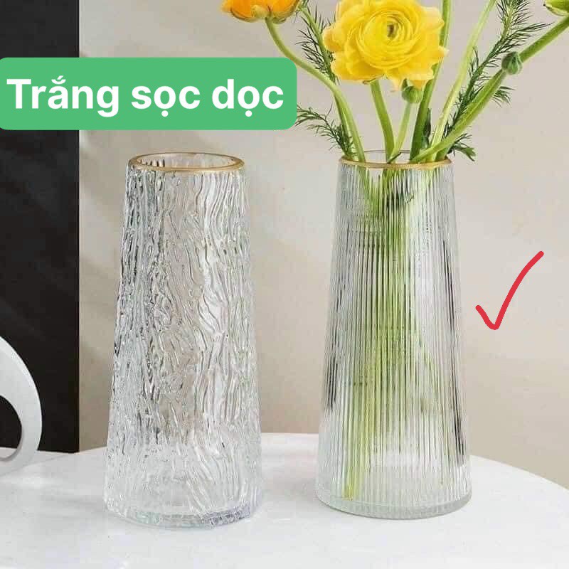 Bình Hoa Thủy Tinh Viền Vàng Cao Cấp Sang Trọng