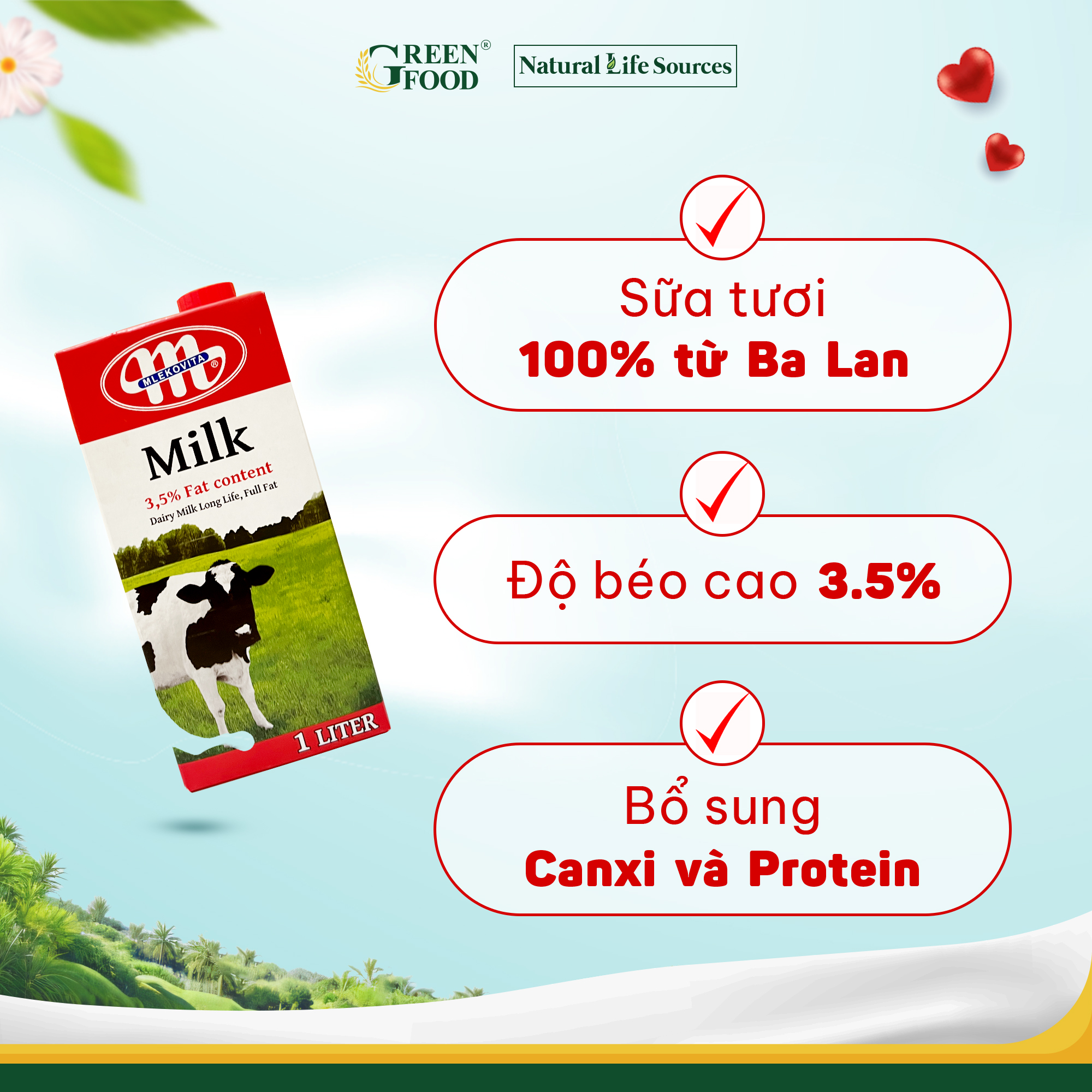 Thùng 12 Hộp Sữa tươi tiệt trùng nguyên kem không đường Mlekovita - Độ béo 3.5% | Hộp 1L, nhập khẩu trực tiếp từ Ba Lan