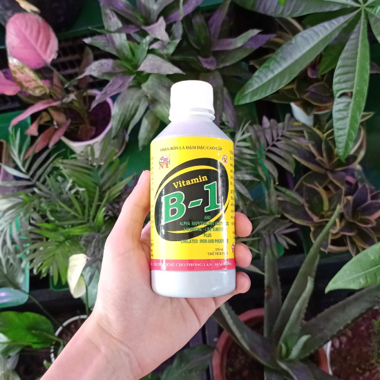 Phân bón Vitamin B1 dùng cho hoa, cây cảnh / Lọ 100ml