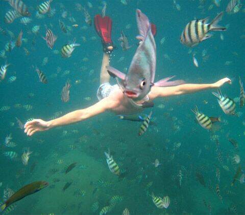 hình ảnh hài hước new chapter 1 23