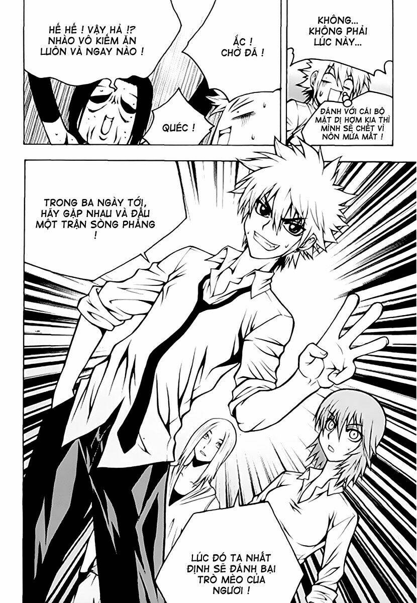 zippy ziggy chapter 58 11