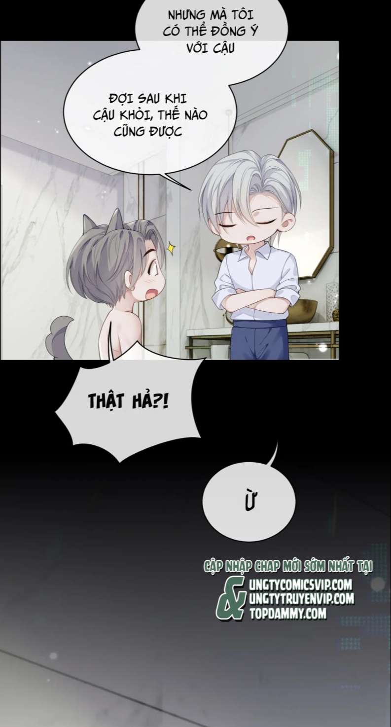 xin hãy ly hôn chapter 84 15